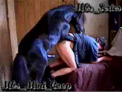 Pony fucking pussy hard