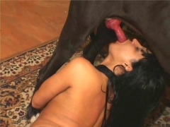 Suck the animal cock